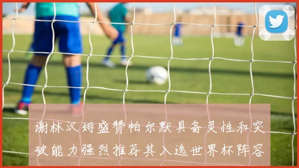 谢林汉姆盛赞帕尔默具备灵性和突破能力强烈推荐其入选世界杯阵容